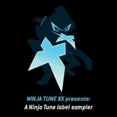 41vidhynrnl_sl500_aa240_