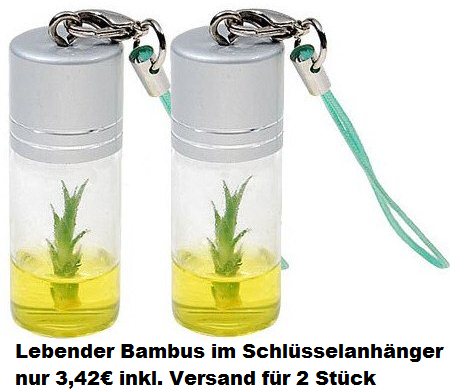 bambuss