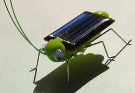 grashupfer-solar