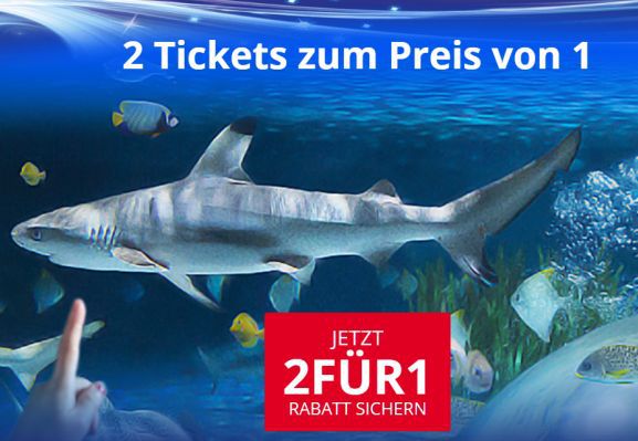 Merlin 2 Fur 1 Ticket Zum Ausdrucken Legoland Sea Life Madame Tussauds Heidepark