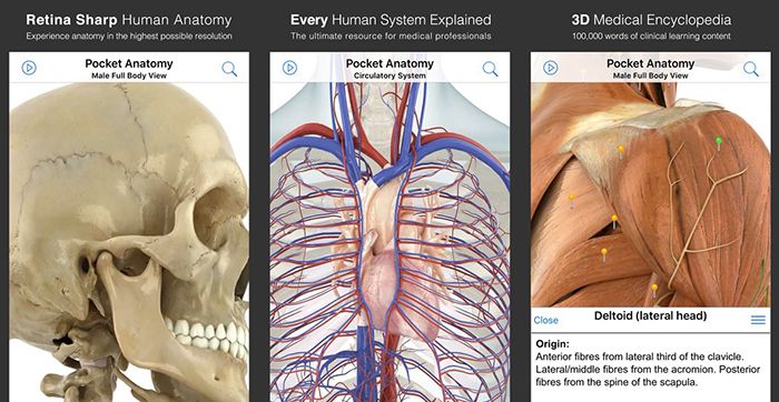 Pocket Anatomy App (iOS) gratis (statt 15€)   3D Material ideal für Studenten oder Schüler