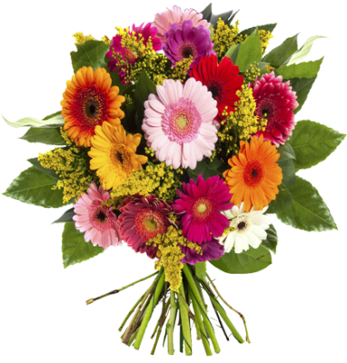 Blumenstrauß Chic   verschiedene Gerberas für 24,90€