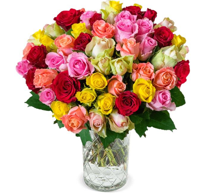 41 bunte Rainbow Roses mit 50cm Länge für 25,98€