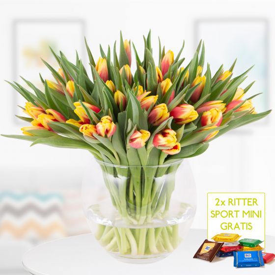 40 zweifarbige Tulpen (Rot Gelb) + 2 Ritter Sport Minis für 24,90€