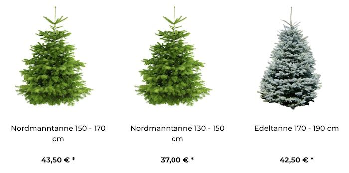 🎄 Premium Weihnachtsbäume nach Hause liefern lassen mit Wunschdatum & 20% Exklusivgutschein