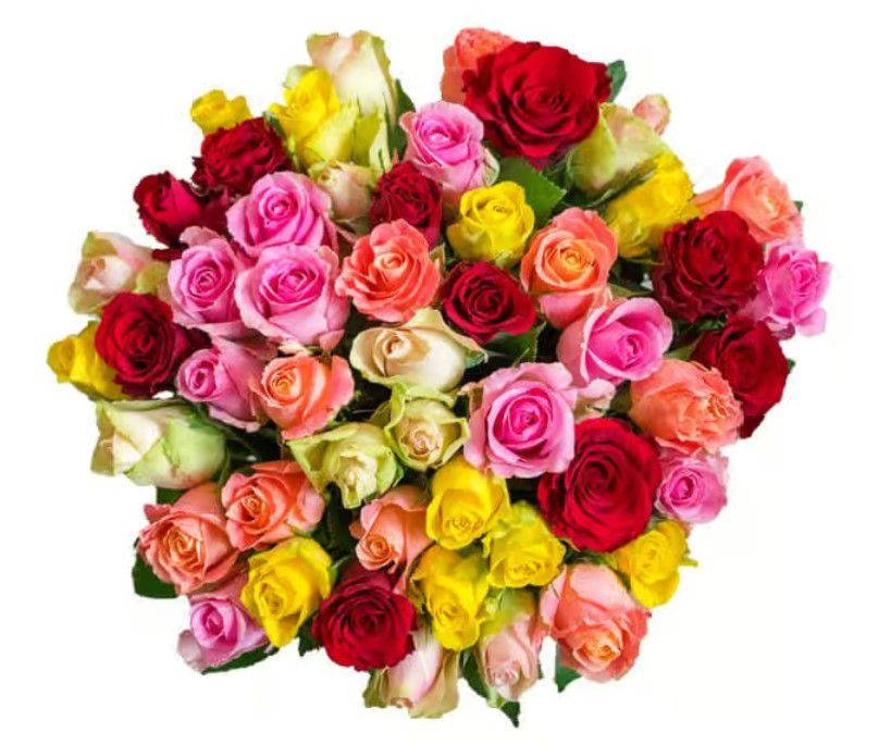 Rainbow Roses 41 bunte Rosen für 29,48€