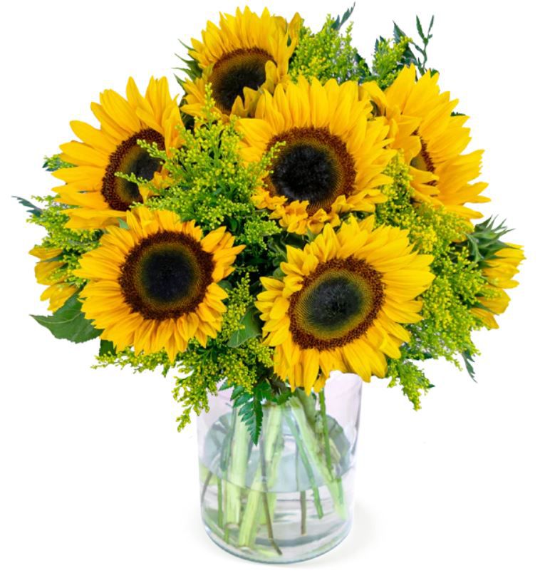 Herbst Liebe XXL Blumenstrauß mit 20 Sonnenblumen & Solidago für 25,98€