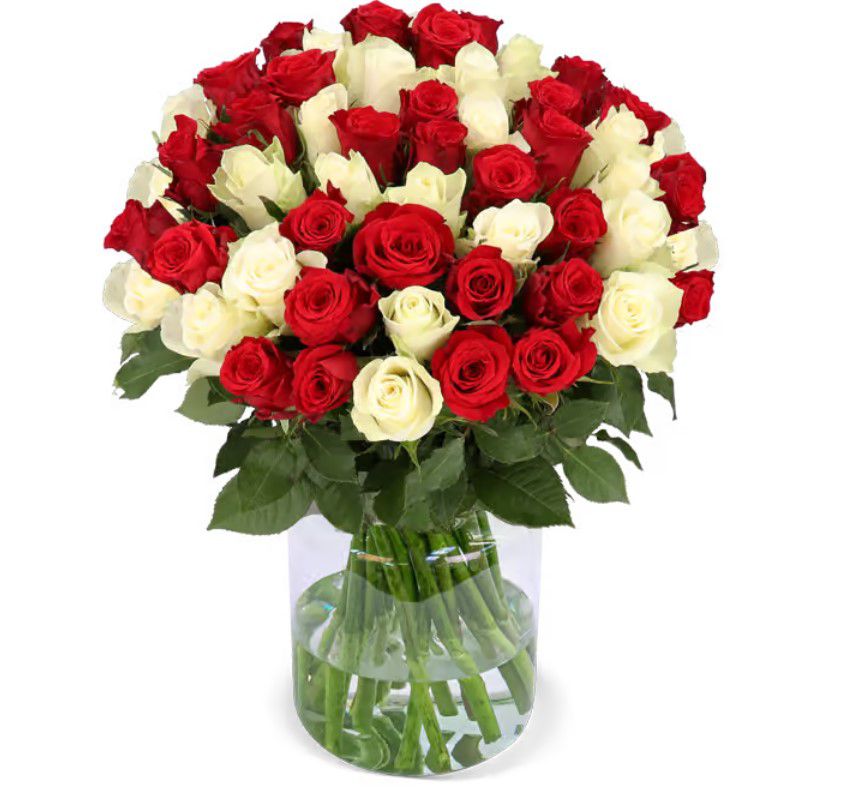 50 Weiße & Rote Rosen (40 50 cm) für 32,48€ (statt 45€)