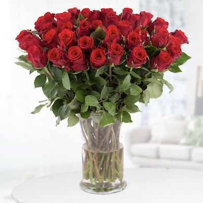 40 Rote Rosen bis 40cm Länge nur 27,90€