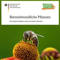 Kostenlos: Bienenfreundliche Pflanzen – Das Lexikon für Balkon, Garten usw.