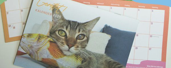 Gratis: Gerettet Kalender von PETA für 2025