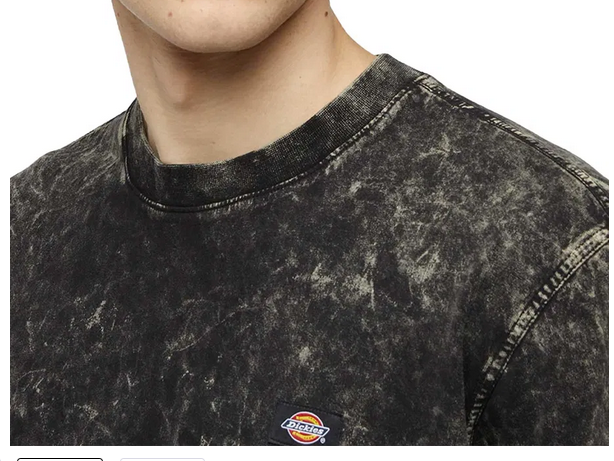 Dickies Newington Herren Shirt für 19,98€ (statt 28€)