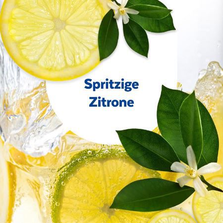 6er Pack Sagrotan Hygiene Plus WC Spüler Zitrone ab 7,01€ (statt 12€)