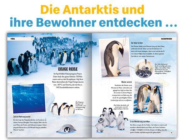 Neues Spendenbuch bei McDonalds: Erstaunliche Wanderungen der Tiere