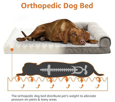 Amazon Basics XL   orthopädisches Hundebett für 45€ (statt 68€)