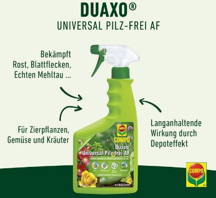 Compo Duaxo Universal Pilz frei AF Fungizid, 750ml für 9,58€ (statt 14€)