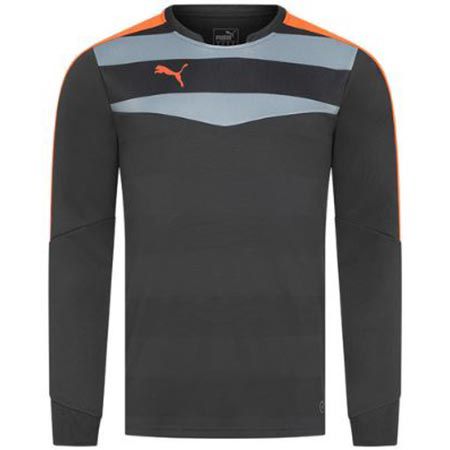 PUMA Stadium GK Torwarttrikot für 9,94€ (statt 16€)