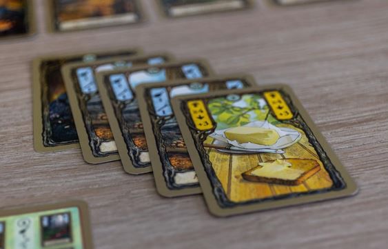 Pegasus Spiele Fungi, Kartenspiel für 10,99€ (statt 15€)