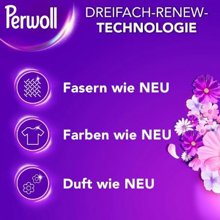 Perwoll Blütenrausch Waschmittel, 80WL für 12,95€ (statt 18€)