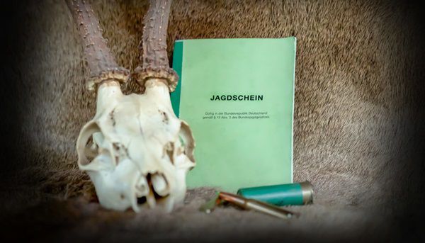 Gratis Online Kurs: Erfolgreich zum Jagdschein