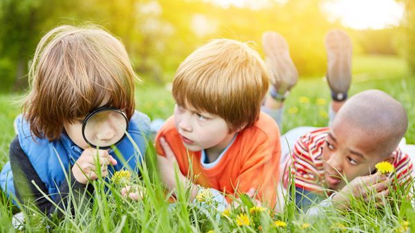 Kakadu: Kinderhörspiel Herr Müller und Frau Meier anhören oder downloaden