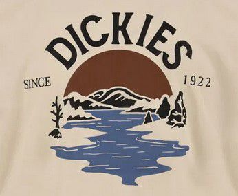 Dickies Beach Tee Herren T Shirt für 15,32€ (statt 40€)