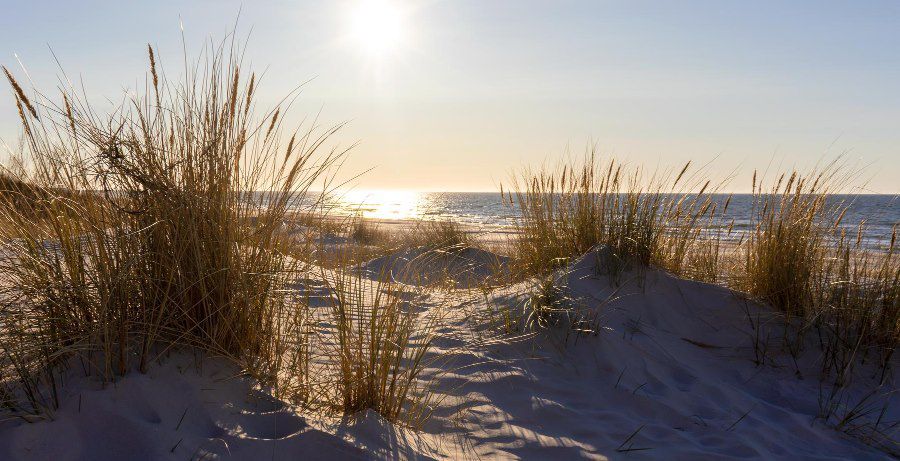 3 ÜN auf Ameland (NL) in einem Apartment mit Küche ab 60€ p.P.