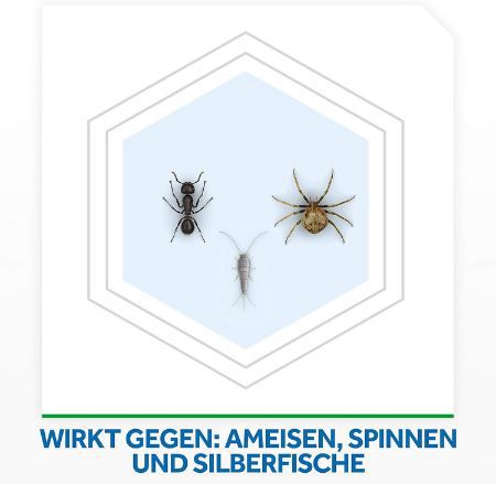 🐜 12er Pack Raid Paral Insektenspray, je 400ml für 29,99€ (statt 55€)