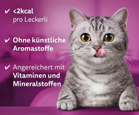 8er Pack Whiskas Knuspertaschen mit Rind, je 60g ab 7,62€ (statt 14€)