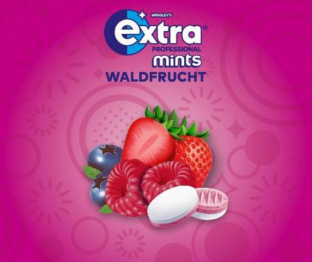 6 x 70er Pack Extra Mints Professional Waldfrucht Pastillen ab 9,64€ (statt 14€)