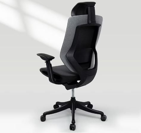 Flexispot BS12 Pro Bürostuhl mit dynamischer Rückenlehne für 299,99€ (statt 470€)