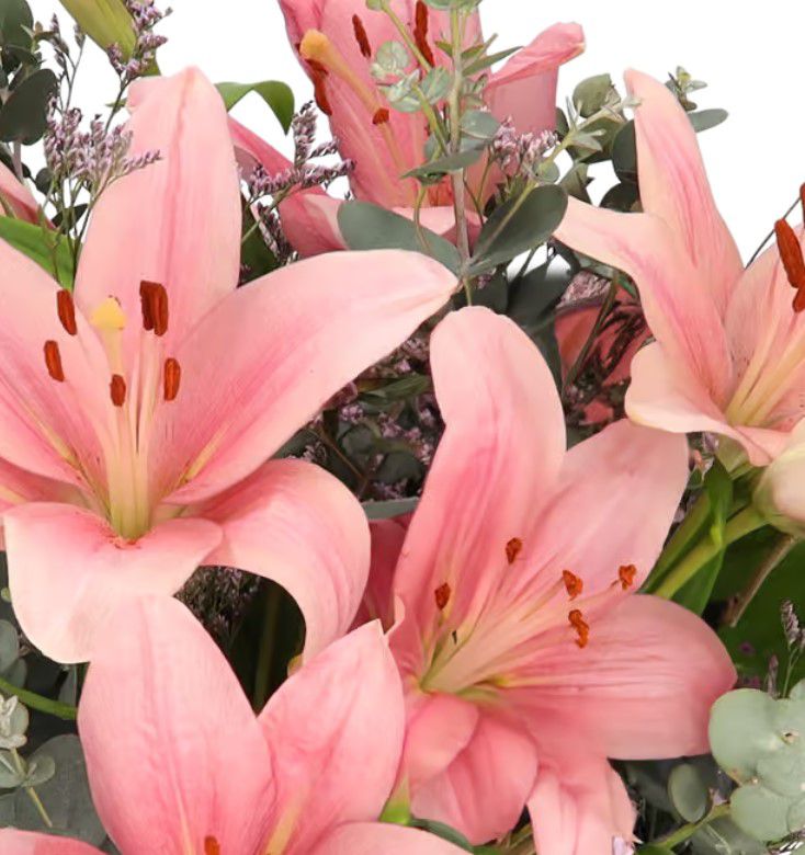 💐Lilienstrauß Liza 13 Stiele mit vielen Blüten für 27,48€ (statt 35€)