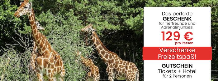 🦁 Serengeti Park inkl. ÜN in der Lüneburger Heide mit Frühstück & Spa ab 129€ p.P.