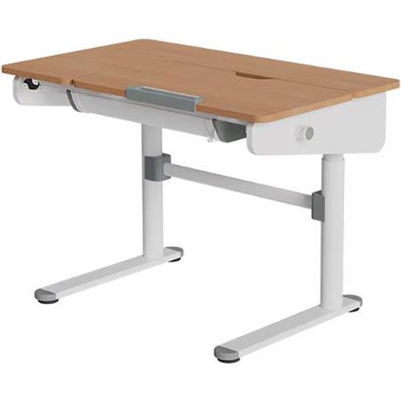 Flexispot SD2 Elektrisch Verstellbarer Kinderschreibtisch für 359,99€ (statt 503€)