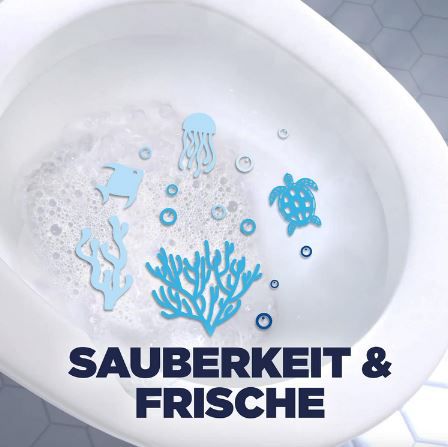 WC Ente WC Flüssigreiniger, Meeresküste, 750ml ab 1,75€ (statt 2,70€)