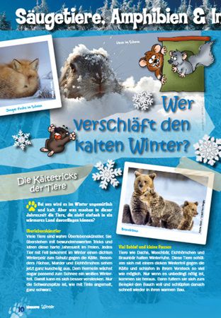 Kostenlos: Naturschutz Magazine Kinatschu für Kinder