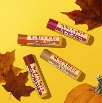 4er Pack Burts Bees Lippenbalsam Geschenkset für 11,18€ (statt 14€)