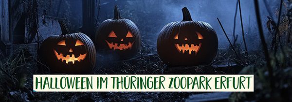 Zoopark Erfurt: Am 31.10.+01.11. kostenloser Eintritt für Kinder im Halloween Kostüm