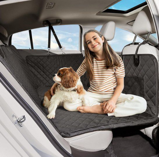 Purecas Auto Hundedecke mit Bodenplatte für 47,99€ (statt 96€)