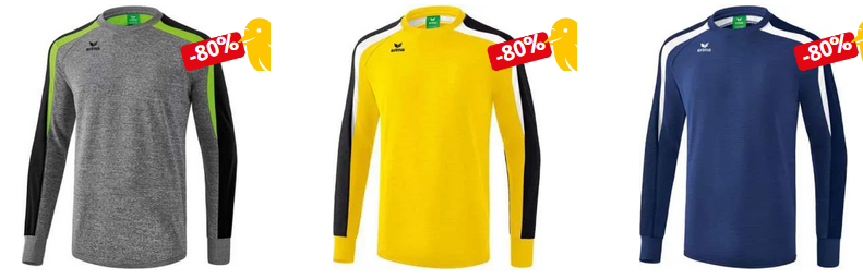 Picksport: Erima Festpreis Sale mit Sweatshirts für Herren und Kids für 7,99€ +VSK