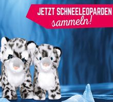 Mit EiszeitQuell Punkte sammeln – Schneeleoparden gratis erhalten