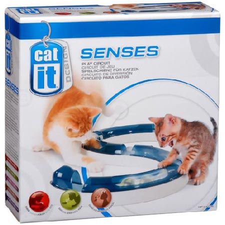 🐈 Catit Design Senses Play Circuit Katzenspielzeug, inkl. Ball für 9,69€ (statt 13€)