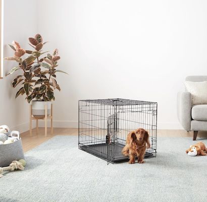 Amazon Basics Hundekäfig mit L 76 x B 48 x H 53 für 31,20€ (statt 40€)