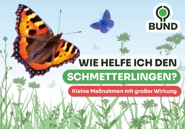 Gratis Bröschüre: Wie helfe ich den Schmetterlingen?