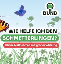 Gratis-Bröschüre: Wie helfe ich den Schmetterlingen?