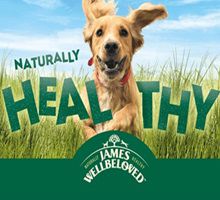 Katzen- und Hundefutter von JAMES WELLBELOVED gratis ausprobieren