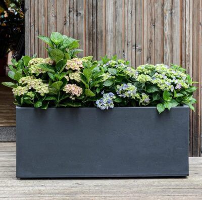 🌺🥀 EDA – 98L Blumenkasten im Basalt Design für 79,89€ (statt 120€)