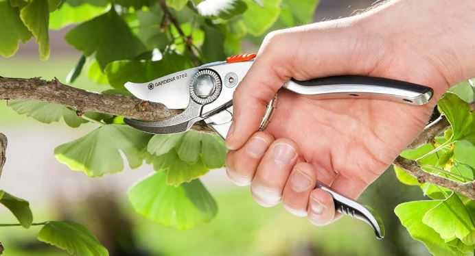 🌳 Gardena Premium Bypass Astschere, 24mm für 36,58€ (statt 41€)