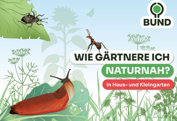 Gratis Bröschüre: Wie gärtnere ich naturnah?