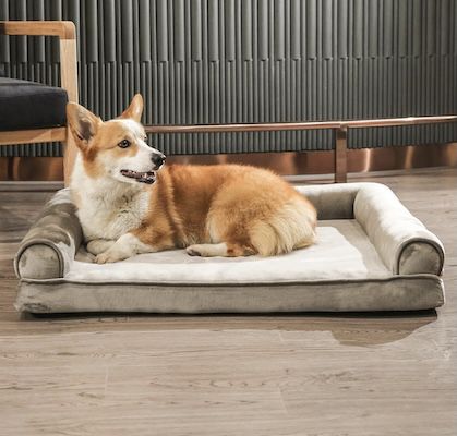 🐶🛏️💤 Amazon Basics großes Hundebett mit 91 x 69 x 17 cm für 26,24€ (statt 41€)